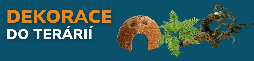 dekorace do terarii (1)